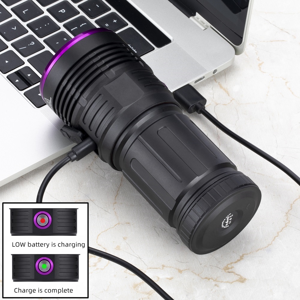 Lampe de poche ultraviolette à - Photography Lighting For Food avis et prix