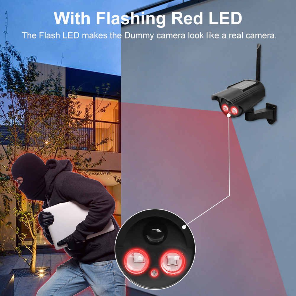 Caméra de Simulation solaire e - Photography Lighting Diagram avis et prix