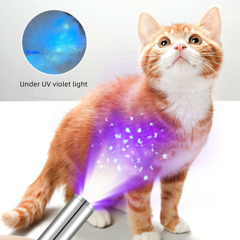 Stylo-lampe UV 365nm à lumière - Photography Lighting For Food avis et prix